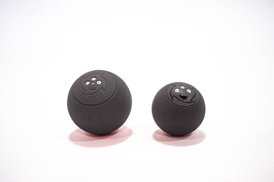 Meteor & Meteor MINI Bundle